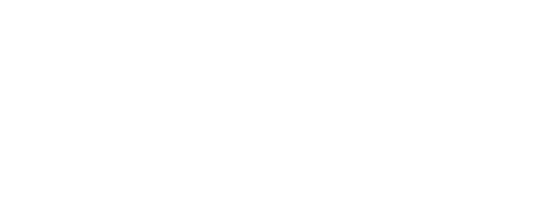 Fritis Logo